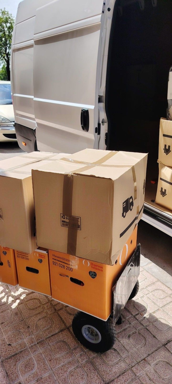 organización y cumplimiento en cada entrega.