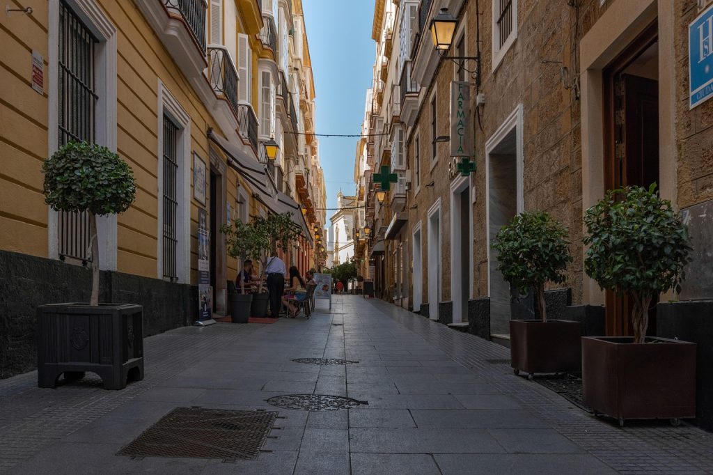 Mudanzas locales